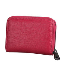 Load image into Gallery viewer, Accordion Zip Wallet