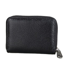 Load image into Gallery viewer, Accordion Zip Wallet