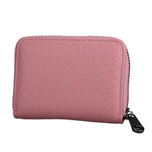 Load image into Gallery viewer, Accordion Zip Wallet