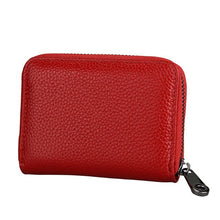 Load image into Gallery viewer, Accordion Zip Wallet